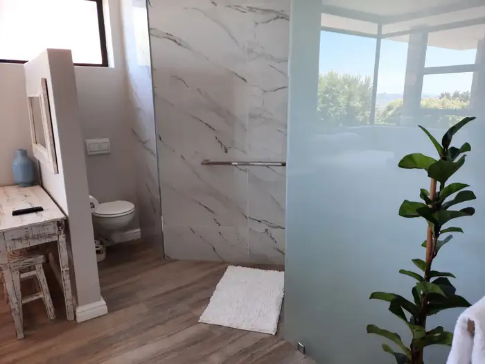 The closed off shower and toilet behind frosted and clear glass